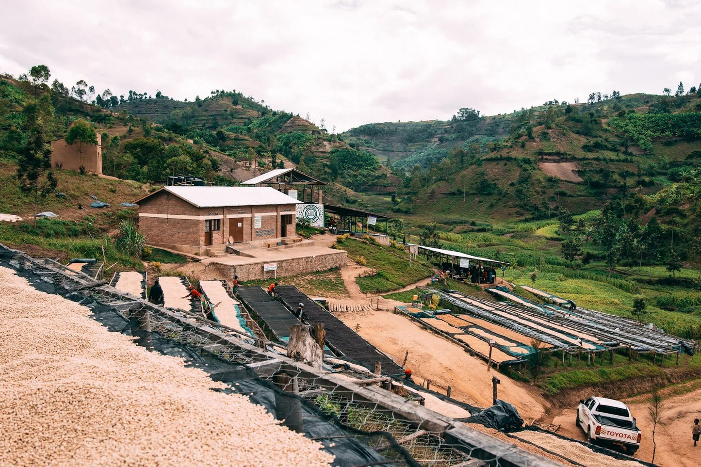 FIELD TRIP - KILIMBI | RWANDA