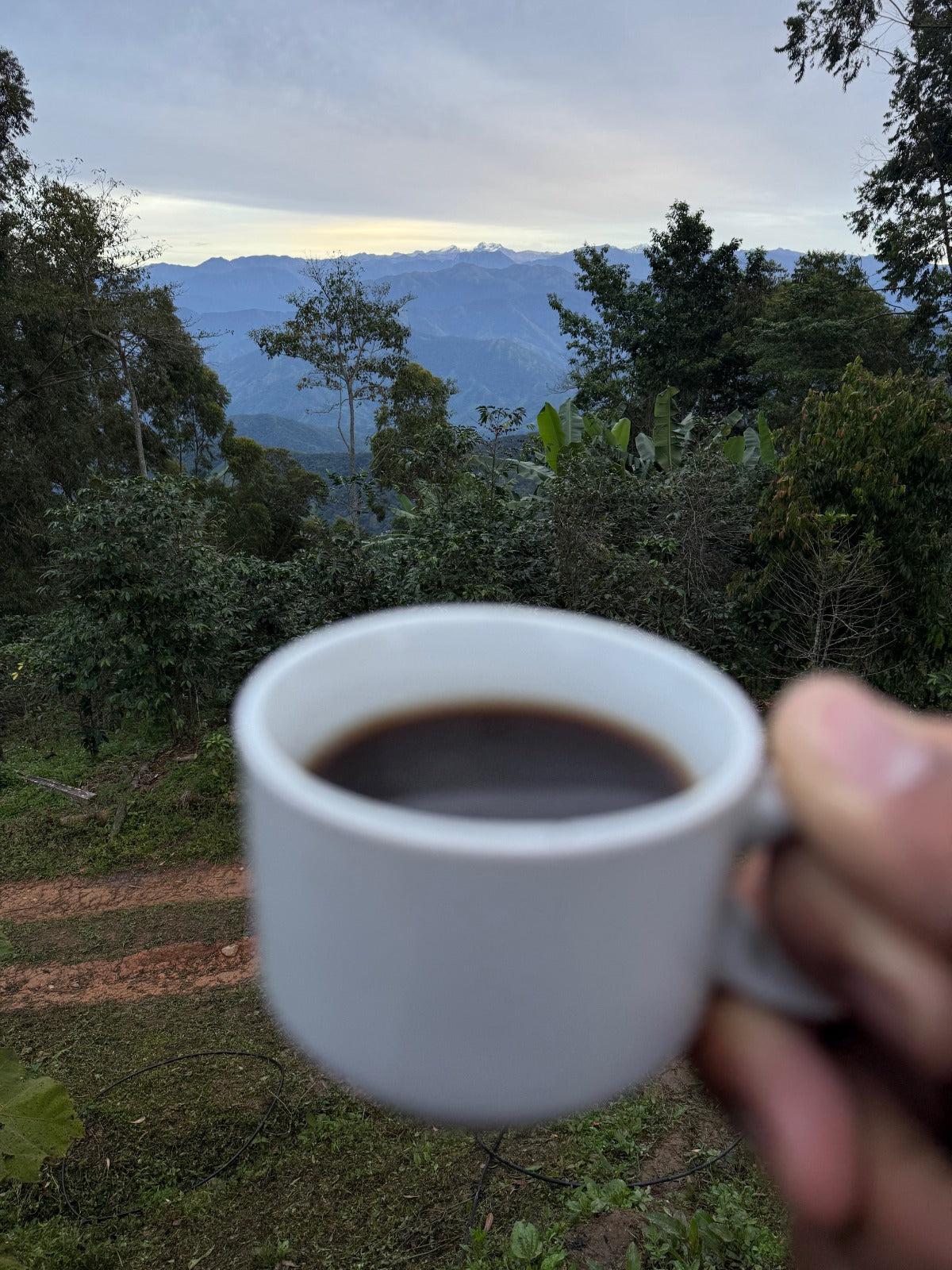 COMMUNITY, SIERRA NEVADA | COLOMBIA