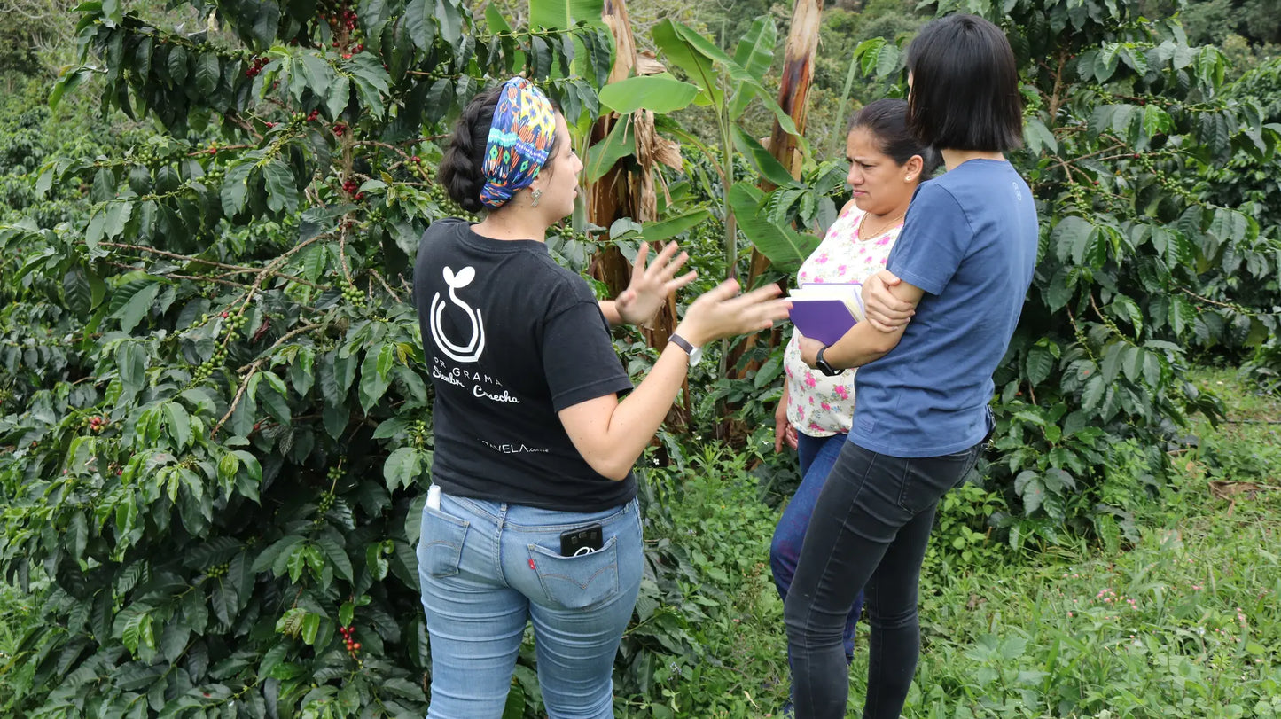 STORY TIME - LAS ESMERALDAS | COLOMBIA